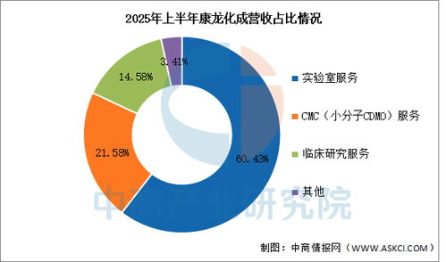 2026年中國CXO醫(yī)藥外包行業(yè)市場前景預測研究報告 聚焦信息技術咨詢服務